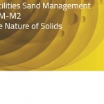 Facilities Sand Management: Key Items and References (B-FSM033)