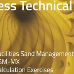 Facilities Sand Management Calculation Exercises (B-FSM-194)